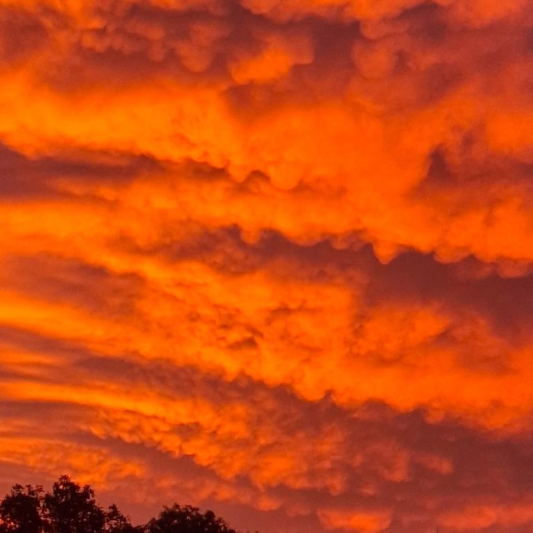 Dramatischer roter Himmel mit Wolken bei Sonnenaufgang, silhouettierte Bäume im Vordergrund.