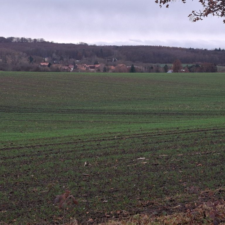 Schild mit der Aufschrift „WINTER“ vor einer verschneiten Landschaft.