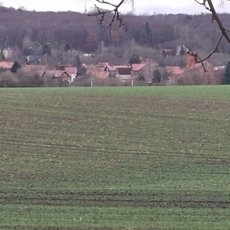 Schild mit dem Wort "WINTER" vor einer verschneiten Landschaft und einem lila Himmel.