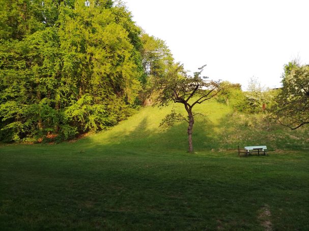 Grüner Garten mit einem kleinen Baum und sanften Hügeln im Hintergrund.