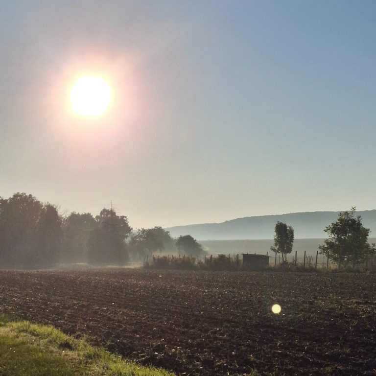 Sonniger Tag über einem Feld mit sanften Hügeln im Hintergrund.