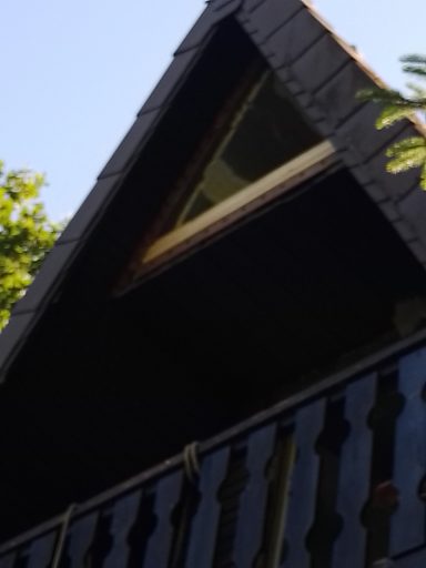 Dachfenster eines Hauses unter einem blauen Himmel, umgeben von Bäumen.